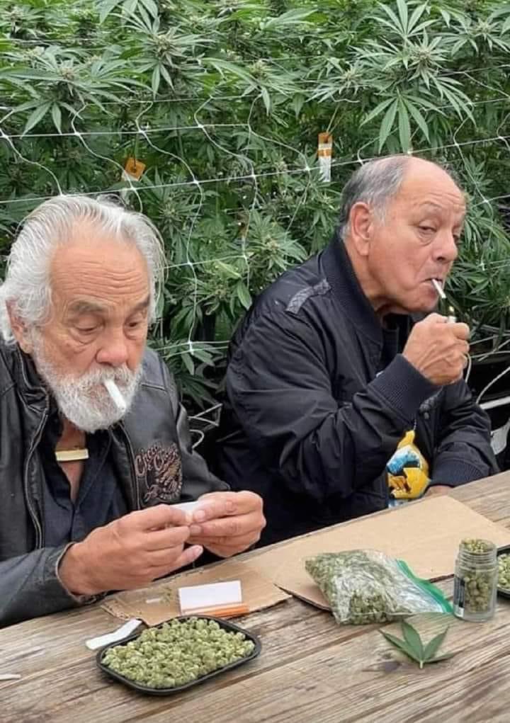 AustinWeedCo's tweet photo. #cheechandchong #420 #austin #austinweed #austinweedcompany https://t.co/nWQC51ZJjU