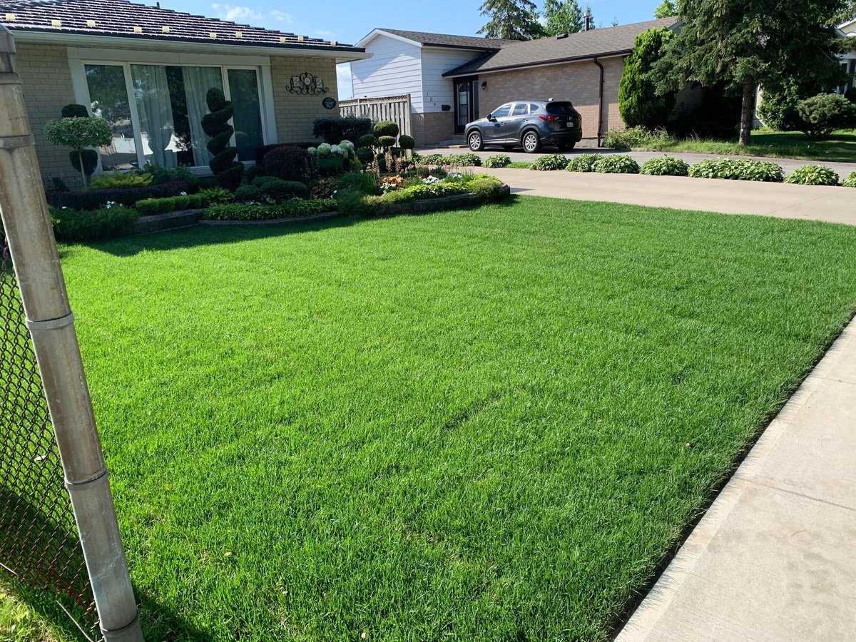 Beautiful sod job on a beautiful property