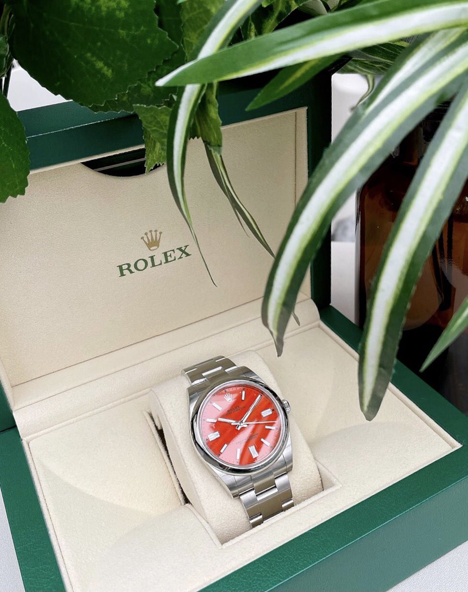 KingramJapan's tweet photo. Introducing the Oyster Perpetual 41 ⌚️✨ (Ref.124300)

The pop coral red dial is eye-catching.
Your unique style will surely turn into your own charm😏‼︎

#rolex #oysterperpetual #oysterperpetual41 #watchcollector #ロレックス #オイスターパーペチュアル #kingram https://t.co/2EXv7381Do