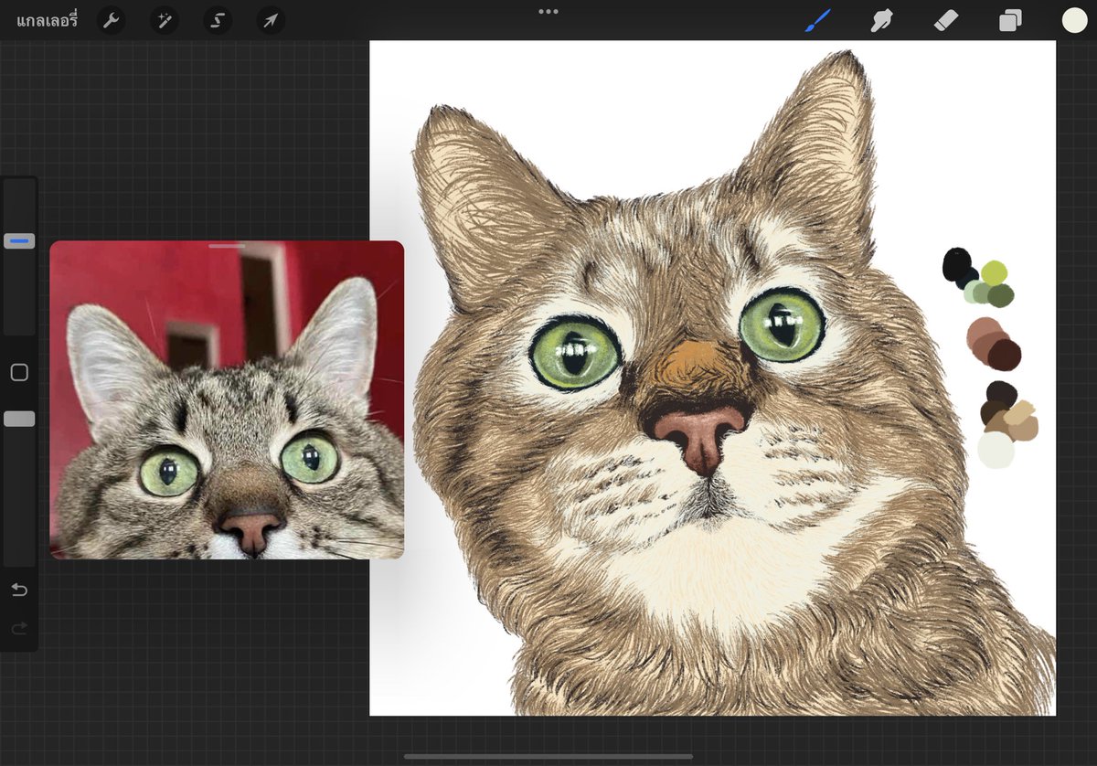 เลือกตั้งกันหรือยังคะ เราไปเลือกมาแล้วนะและก็กลับมาวาดแมวต่อ #เลือกตั้งผู้ว่ากทม65 #เลือกตั้ง