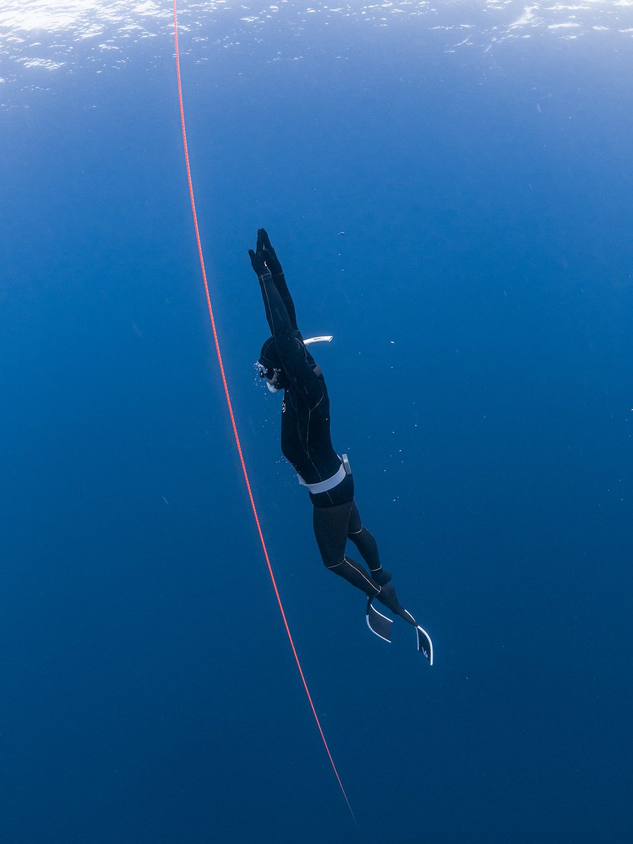 freakstery's tweet photo. Flying down under

#freedive #apnea https://t.co/pBujOoo6lr
