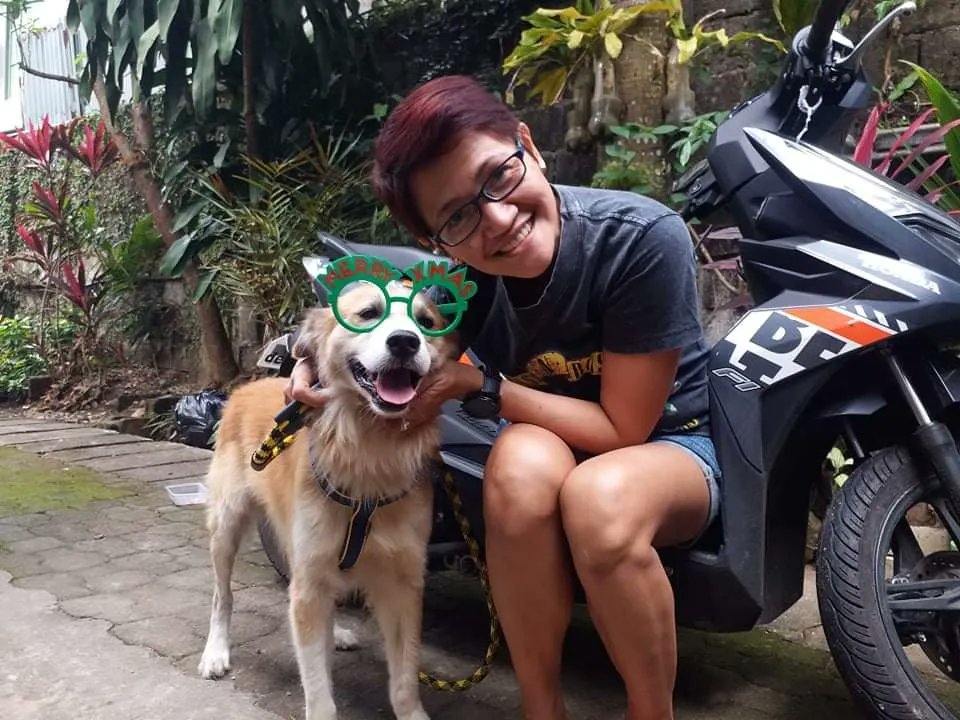 Gforce_79's tweet photo. When your heart hurts from the loss of a beloved dog, remember they are running free now 💔😥😭
Run Free my Hollister 🐶 thank you for the 9yrs. Lots of good memories 🐕
Goodbye my Hollister 🐶💔😭🥺
#HollisterYourGonebutNeverForgotten https://t.co/Ey7a7sA5vw