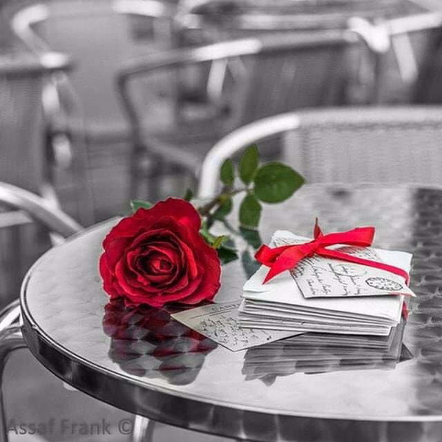 ليس الصمت دائماً رائعاً
وليس الكلام دائماً سيئاً
فهناك من نرتقي عنهم بالصمت
وهناك من نرتقي معهم بالحوار
لذا تخير مع من تصمت ومع من تتحاور