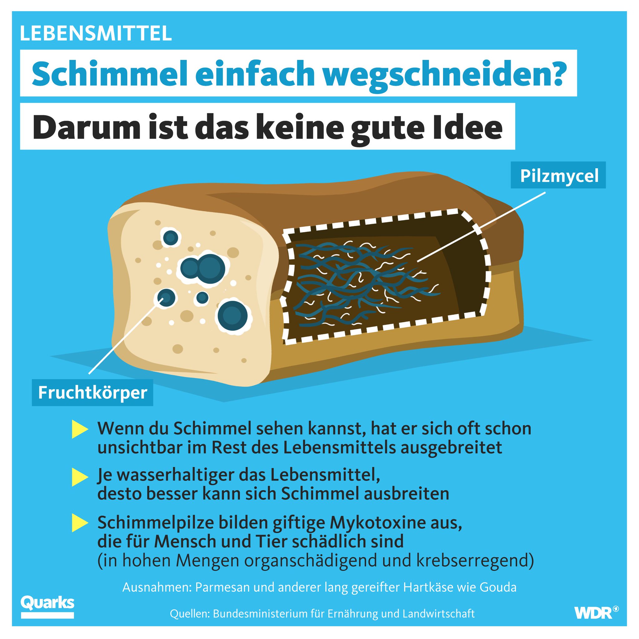 Quarks on Twitter "Schimmel?! Aaaaaach, kann man wegschneiden und den Rest essen. Oder? Macht
