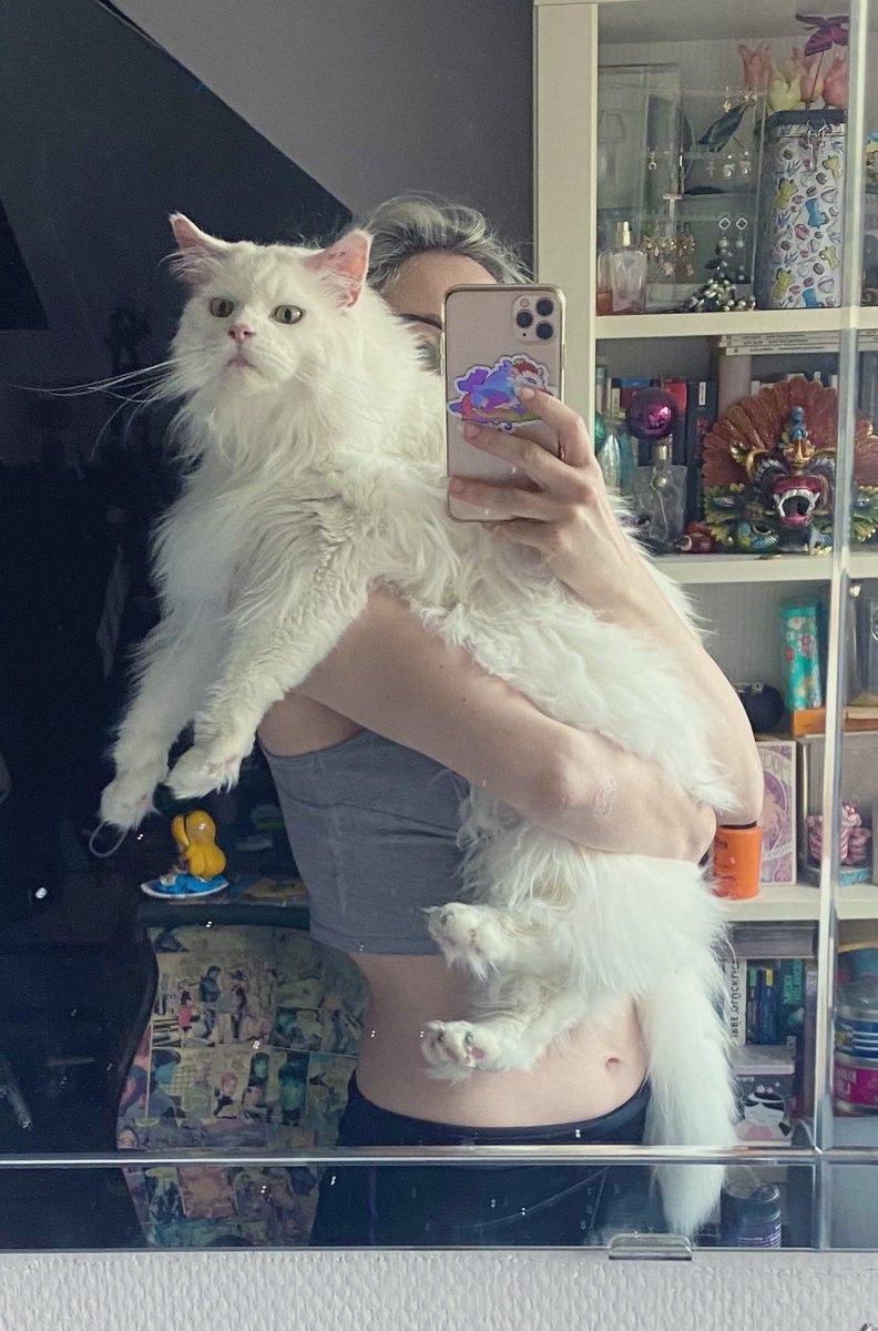 tsukachi's tweet photo. People think my baby is smoll but she‘s actually a long girl https://t.co/GrvsOgkmoL