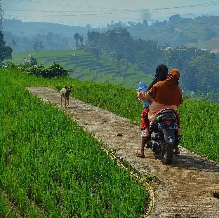 Selagi pusat belum memberikan kepastian. Pastikan cabang masih berada di tempat yg aman....