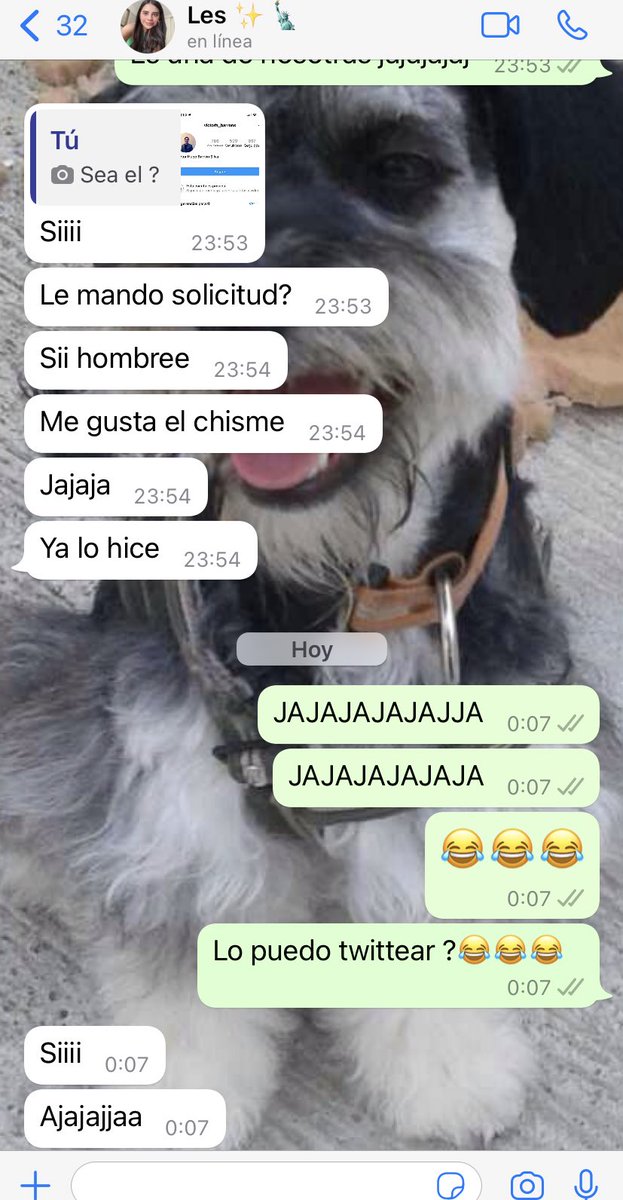 marians_rogue's tweet photo. El deseo de chisme es de las pocas cosas más grandes y fuertes que la pena 😂😂 https://t.co/Nf34OENaTE