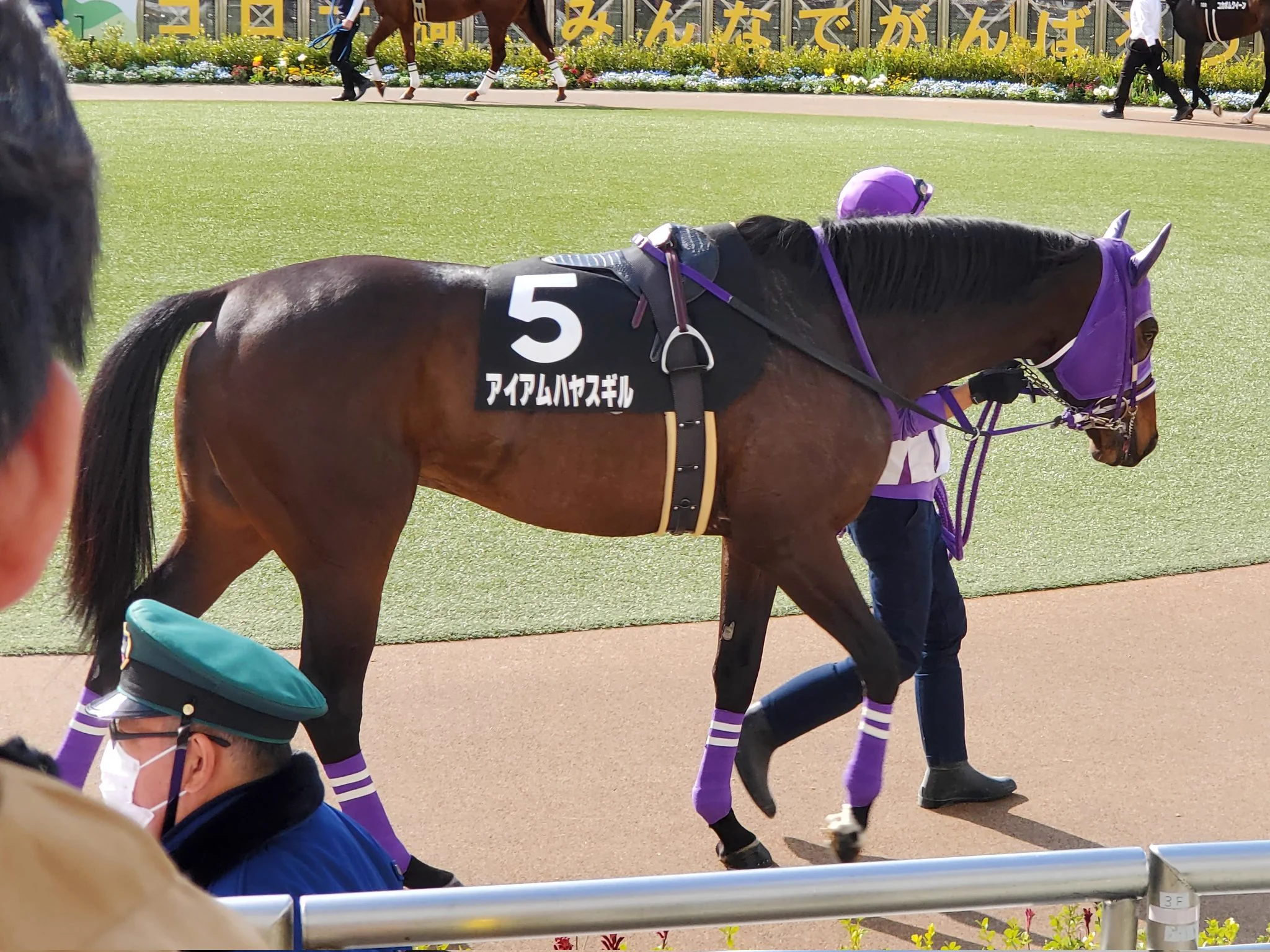 この前リストのうち2頭リアタイできた。ラッキー✌️  
