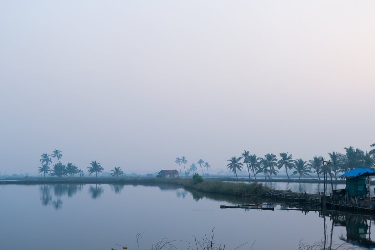 Kadamakudy ✨ 
Shot on @FujifilmX_US
#keralatourism #kadamakudy #fujifilm_xseries #FUJIFILMxt30 #indiapictures @KeralaTourism @FUJIFILM_UK @Fujifilm_India #PhotoOfTheDay #photographersofindia