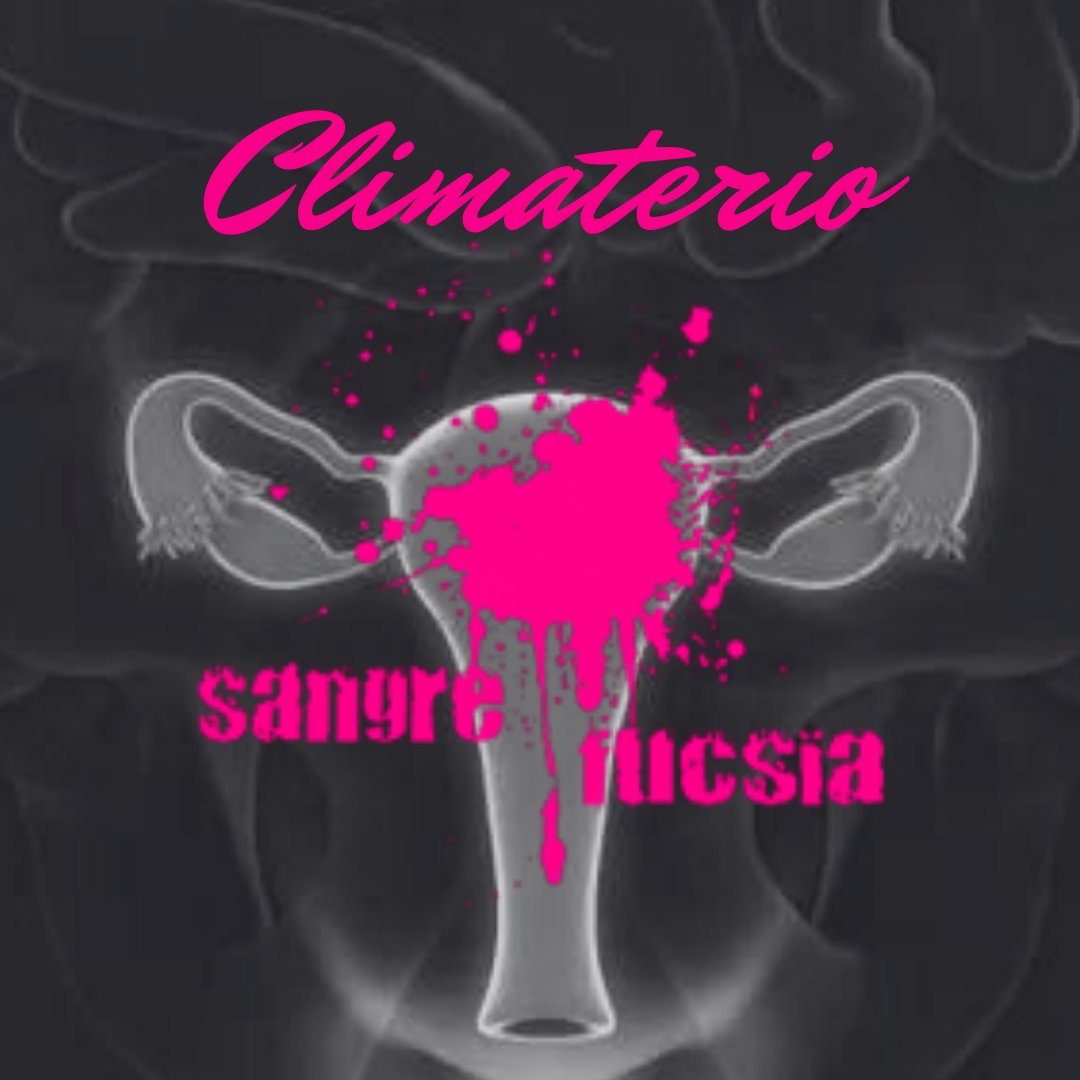 Esta semana se ha hablado mucho de menstruación (¡bien!) pero el climaterio (el proceso en torno a la última regla) o menopausia sigue estando silenciado.

No te pierdas la charla con la dr. Carme Valls Llobet y el colectivo Nido de Cotorras Climatéricas.

sangrefucsia.wordpress.com/2022/05/22/222…