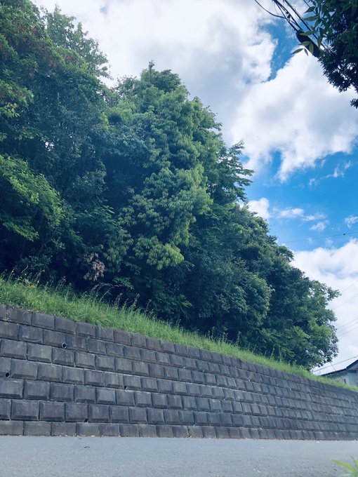 Twitterのコスプレ画像6