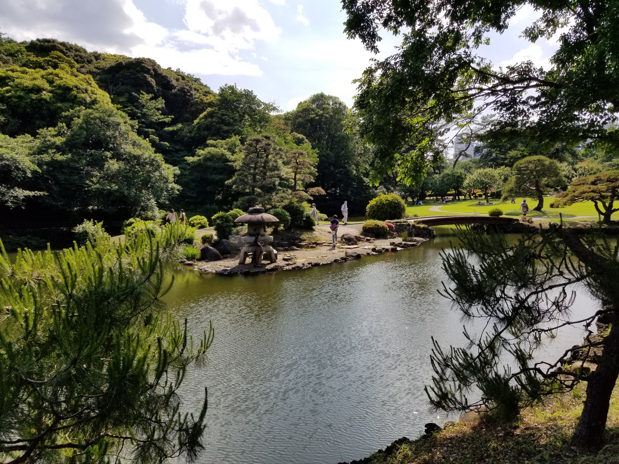 تويتر 御苑の圭 على تويتر 新宿御苑 日本庭園 T Co Uhciadyhjd