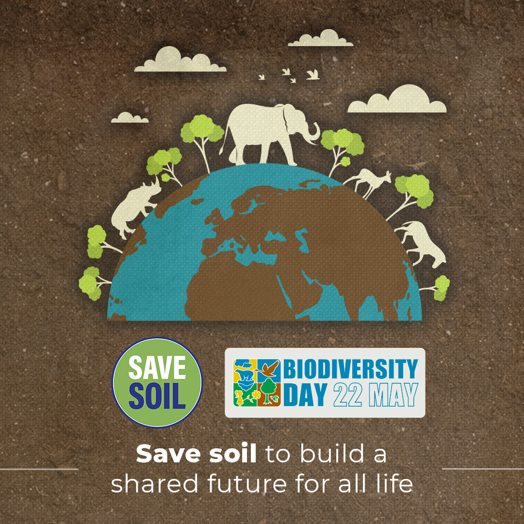 cpsavesoil's tweet photo. On this #BiodiversityDay, let us commit ourselves to crafting a better future for the zillions of life forms on the planet that are crucial for human sustenance and wellbeing. #SaveSoil #SoilBiodiversity @UNBiodiversity 
Action Now: https://t.co/z6MmqMf5nE
#ConsciousPlanet https://t.co/5Eem6m7kNj