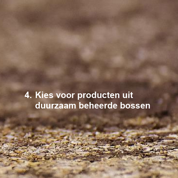 PEFC_NL's tweet photo. 2/2 De biodiversiteit neemt af en het is aan ons allen om de vele soorten dieren & planten waarmee we onze planeet delen te beschermen. Dit kun jij doen doen. 🦔 #PEFC #Biodiversityday2022 #BuildingASharedFutureForAllLife #DagVanDeBiodiversiteit #Biodiversiteit #DuurzameBosbouw https://t.co/Z9F9lbYcBU