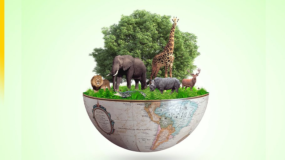 Iptec_Lebanon's tweet photo. Biodiversity is the Greatest Treasure we Have.

-22 May: International Biological Diversity Day.
#IPTEC #Biodiversity #Species #Nature #Lives #Resource #Sustainable https://t.co/lMujCmalXA