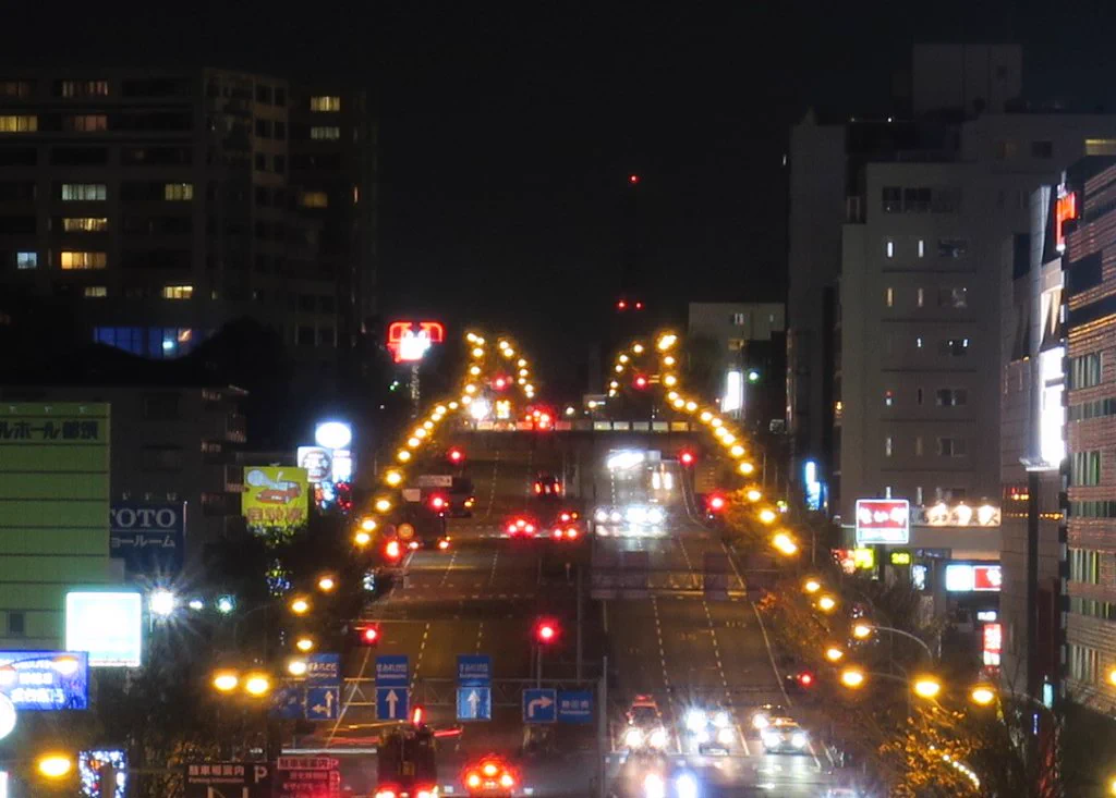 トトロ、横浜の夜道にも現れてくれます😀
© 2022 あそびい横浜　さん
