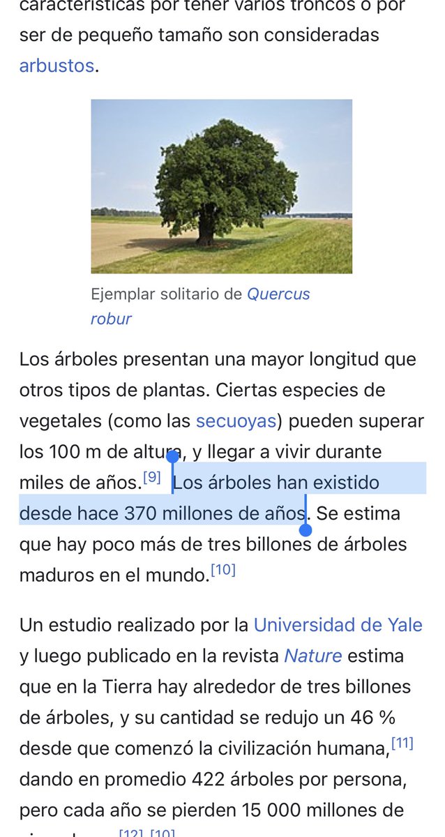 RafaAnimacion's tweet photo. No es por nada pero los tiburones llevan aquí más tiempo que los árboles. https://t.co/dv4qwfW1JW