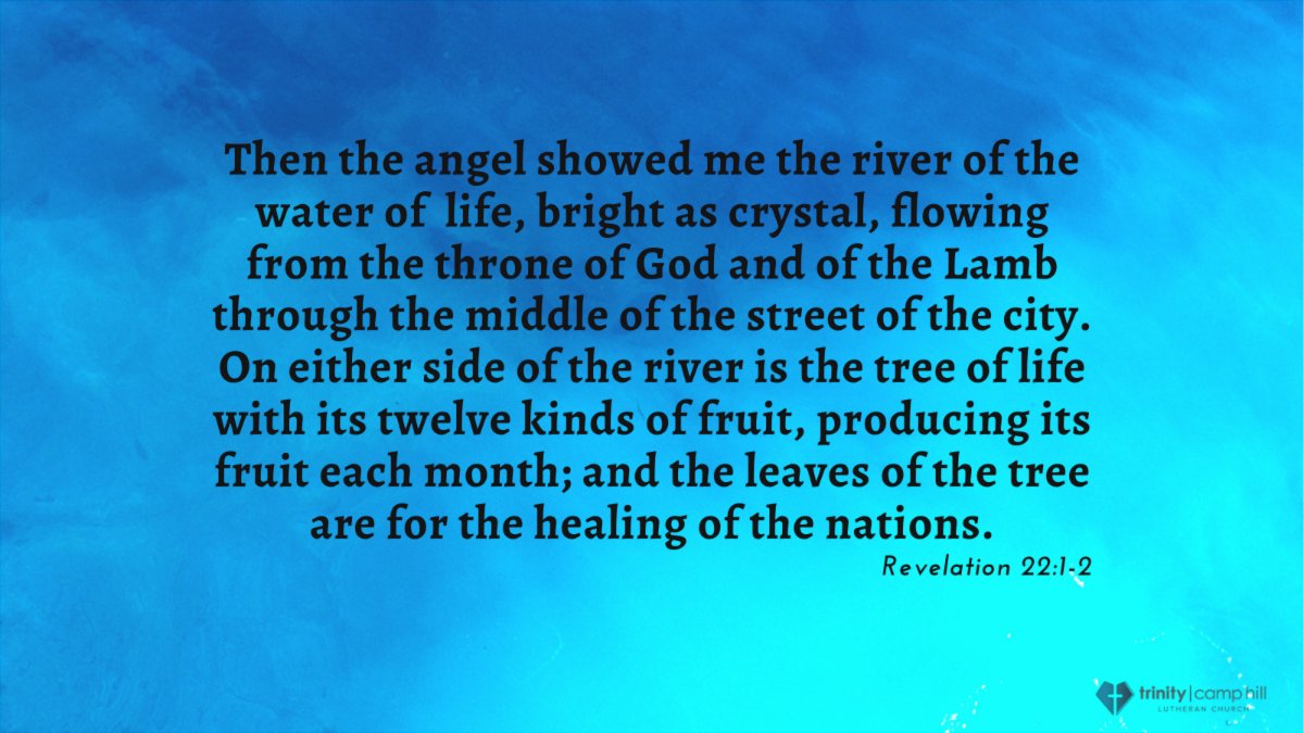 trinitycamphill's tweet photo. Let us pray. Bountiful God, you gather your people into your realm, and you promise us food from your tree of life. Nourish us with your word, that empowered by your Spirit we may love one another and the world you have made. Amen (excerpt Sundays and Seasons, pg 182) https://t.co/UDWR80bN4c