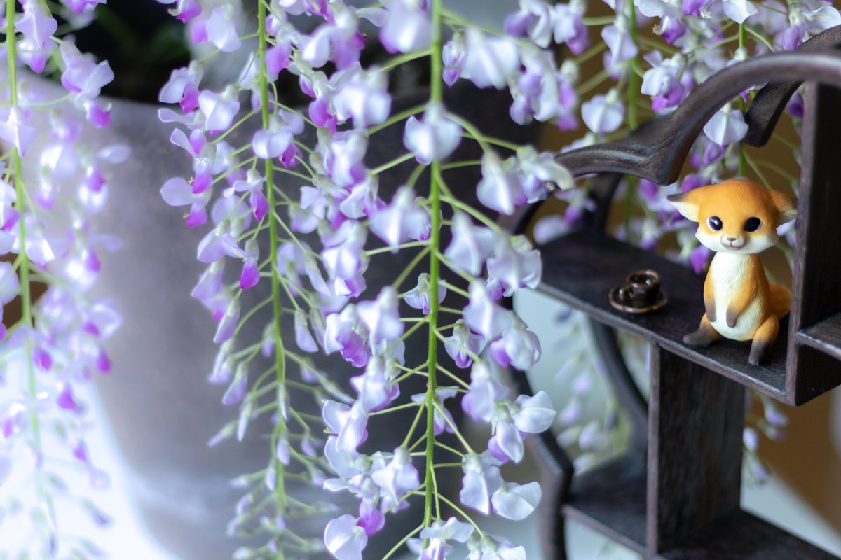 papier_to_puppe's tweet image. 藤でお花見✨
だいぶ前に撮ってたけど現像してなかった🤣