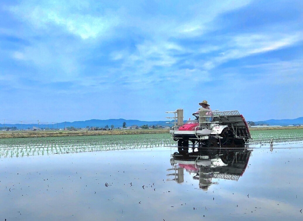田植え全日程終了( •̀ㅂ•́)و
オペレーターは気疲れ
岡廻りは肉体的疲労

我が家の今晩の晩御飯の会話は、疲れ切って無言でした（笑）

#yokote #あきたこまち #さきほこれ #日本の米は世界一