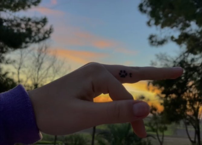 celialxpzz's tweet photo. esto también iba dedicado a ti 🐶🫶🏼❤️🕊 https://t.co/BpQ4kzQG1S