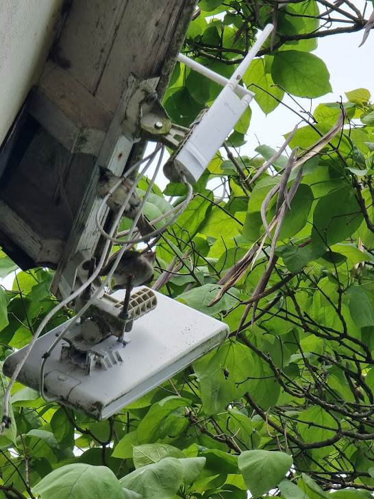 Monwifi_fr's tweet photo. Un jardin connecté, des moineaux sur AP #Ubnt #Ubiquiti #Unifi et borne #TPLink. https://t.co/uN3gE2EwJM