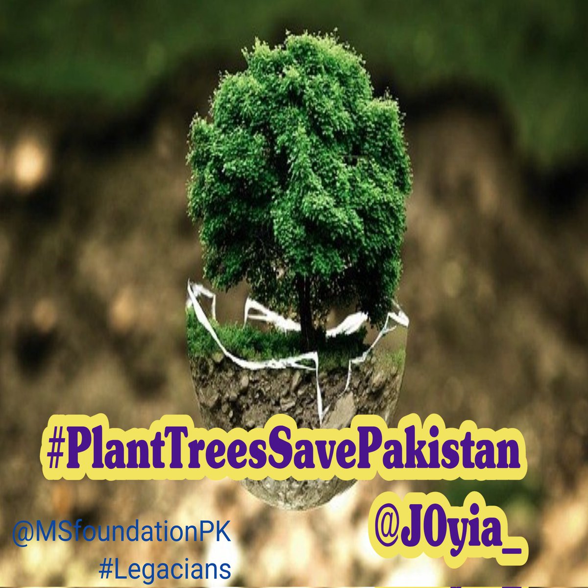 Patri0tic_'s tweet photo. #PlantTreesSavePakistan
Pakistan is a beautiful country and its weather not alike to other countries around the global.
#Legacians
#waterscracity
#PollutionThreatsHumanity https://t.co/nryaplbiV0