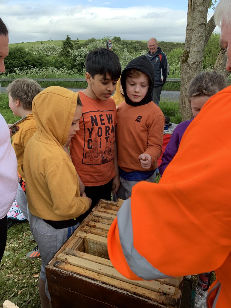 Oola_Tidytowns's tweet photo. Fantastic bee talk had our Youth Club buzzing. Peter was describing the two varieties of honey on the one tray. Notice the dark in the middle and the lighter on the edge. #WorldBeeDay2022 https://t.co/AnGFn842Ra