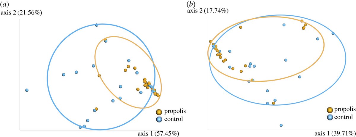 RSocPublishing's tweet photo. Honeybee microbiome is stabilized in the presence of propolis https://t.co/c4rtjBXIuA #BiologyLetters #microbiota #bioinformatics #socialimmunity https://t.co/5QAsAS9Y5H