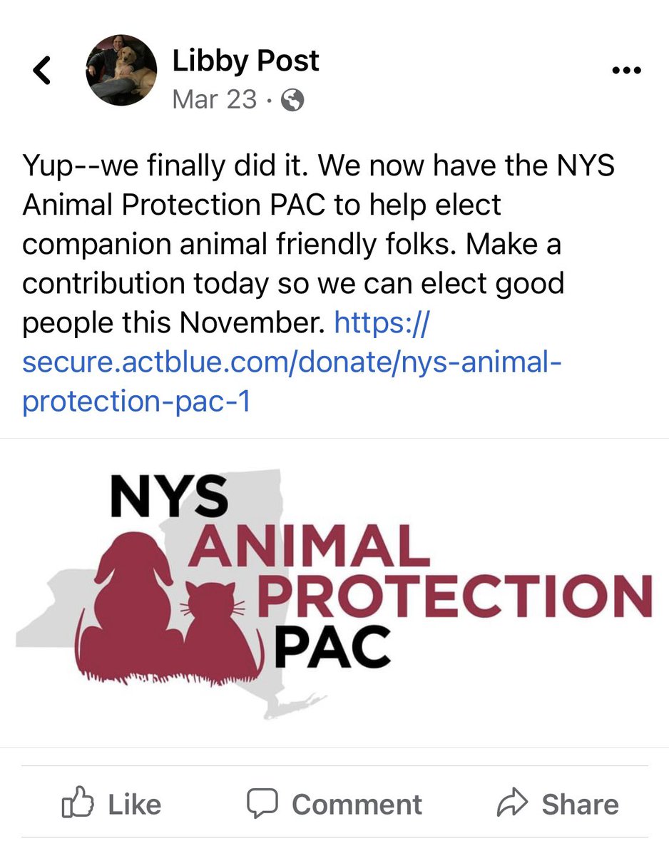 AndyWeprin's tweet photo. @kathleenlessma3 @nwinograd The kill pound lobby has an insidious new PAC with board members from the ASPCA & HSUS, that’s now funding the Committee Chair Assemblywoman Donna Lupardo’s re-election campaign. Their priority is to shield shelters from regulation & accountability by buying off key politicians. https://t.co/lwKMW3tAug