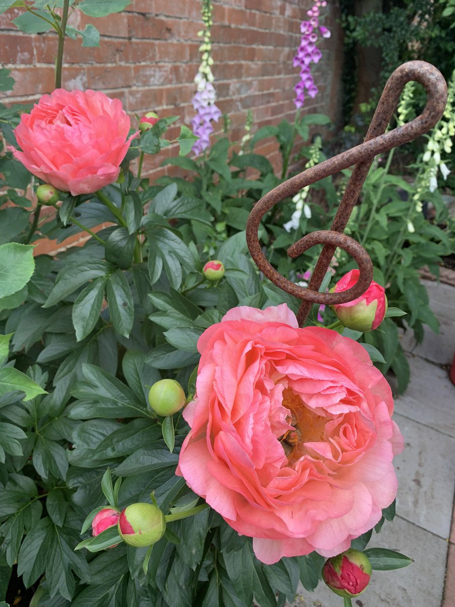 bevsteensma's tweet photo. Beautiful May!! https://t.co/4zfAI5tCJ4