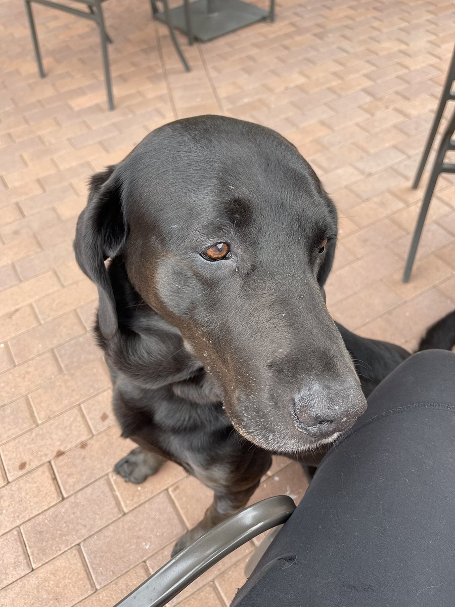 Archie Bradley tweet media