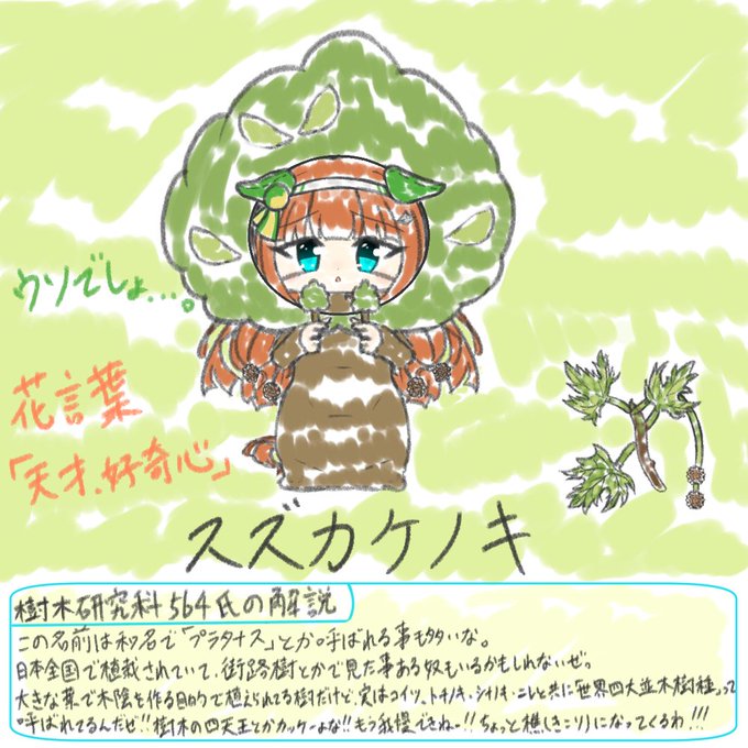 スズカケノキのtwitterイラスト検索結果