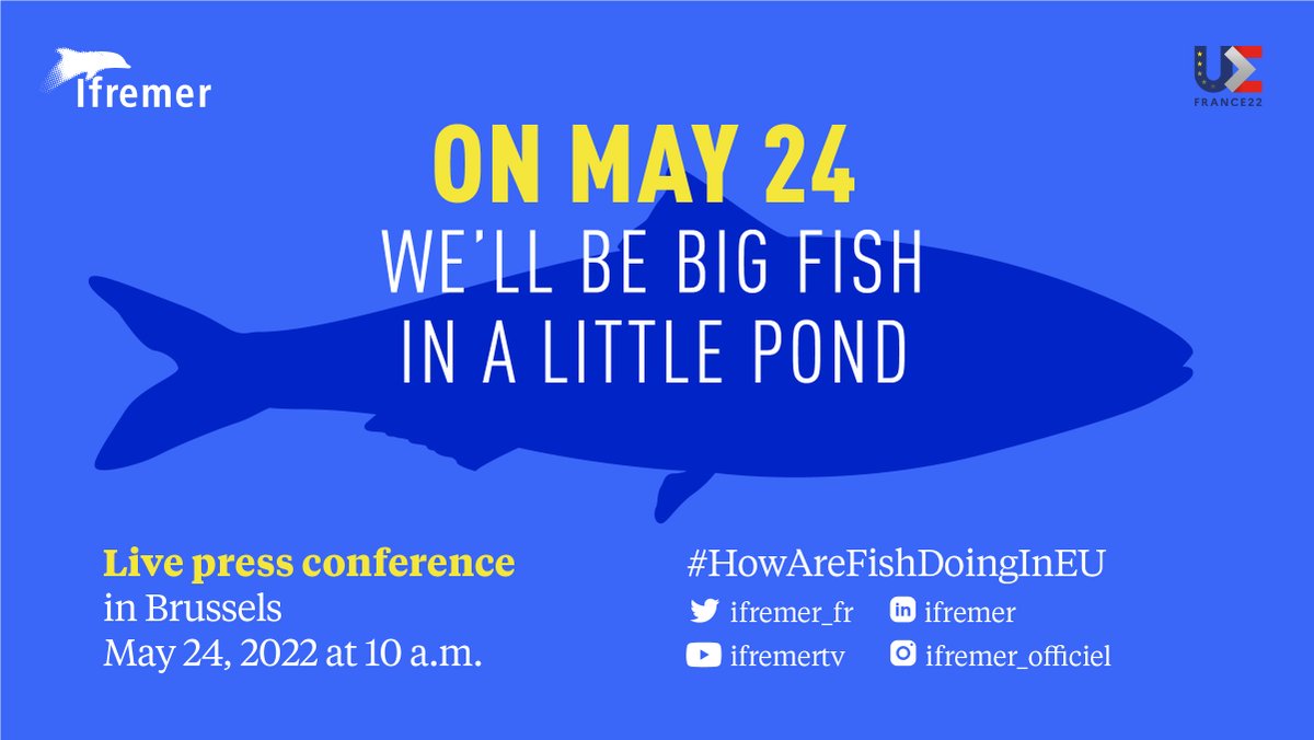 Ifremer_fr's tweet photo. Want to learn more about overfishing? About the impact of global warming on fisheries? π€
On Tuesday, scientists will tell you EVERYTHING about the status of fish populations exploited in Europe! #HowAreFishDoingInEU π
π
RDV at 10am
π΄ Live on Twitter: https://t.co/raD0NFfqNk https://t.co/IVv7G3rVV0