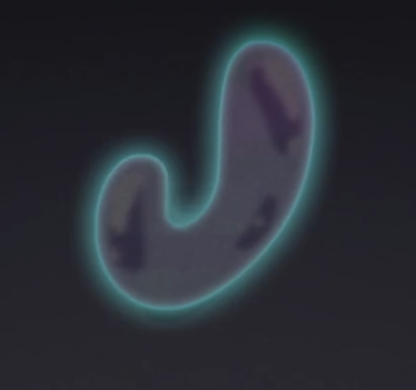 GarooGo tweet picture
