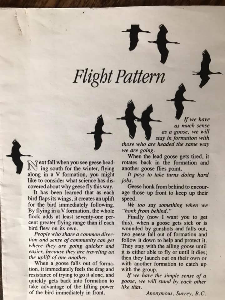 TweetsbyKayM10's tweet photo. Isn't this beautiful!  I found this writing during the lockdowns, and it has stayed with me ever since.  #Healing #Flight #Beautiful #Inspiring #FlightPattern https://t.co/ilflWB7VAC