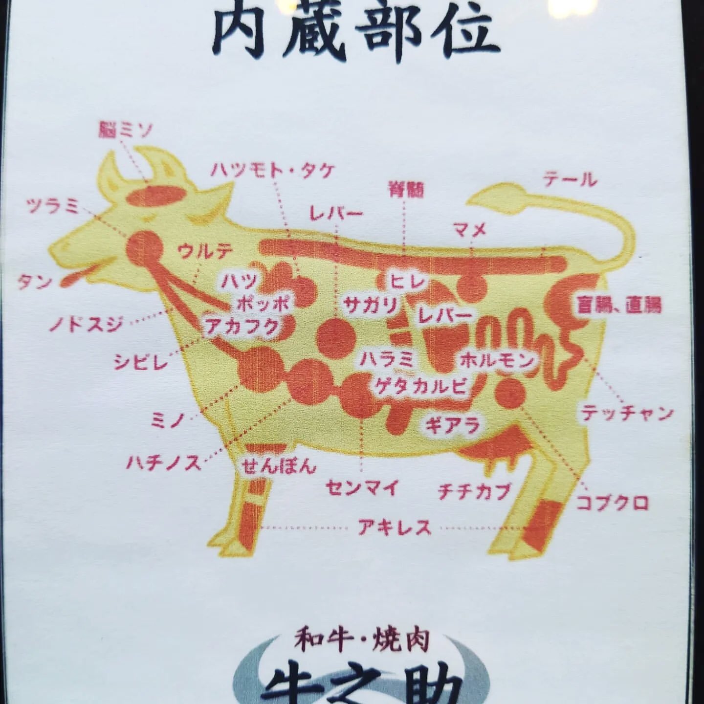 炭火七輪焼肉やんやんby牛之助 見沼店 こんにちは 今日は良い天気ですね お天気が不安定で体調を崩しやすい為体調管理にはお気をつけ下さい 本日は牛肉の部位についてのご紹介です こんなに沢山の部位があるのご存知でしたか 16 00より元気に営業