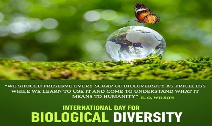 Time for raising global awareness about the importance of protecting biological resources and the global biodiversity that shapes our environment. Lets strive to protect our biological diversity. #BuildingaSharedFutureforallLife