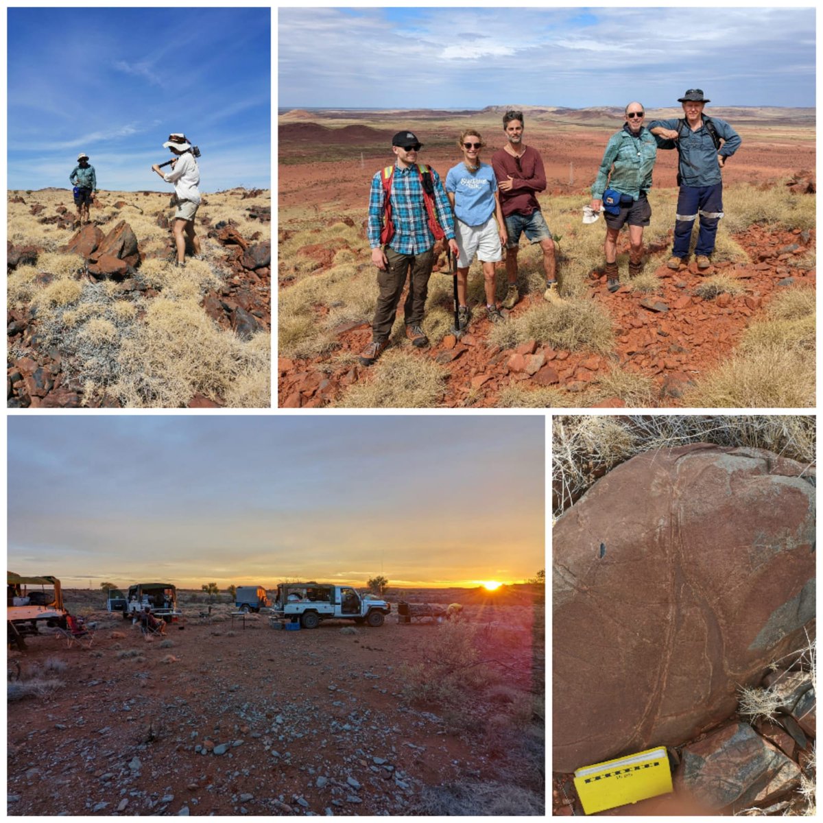 Oliver Nebel tweet media