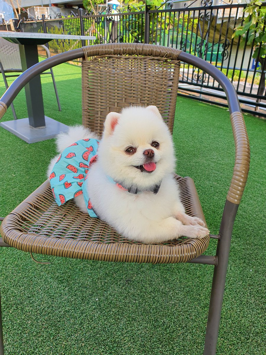 cherry160616's tweet photo. 초록체리 https://t.co/3guU7qHapu