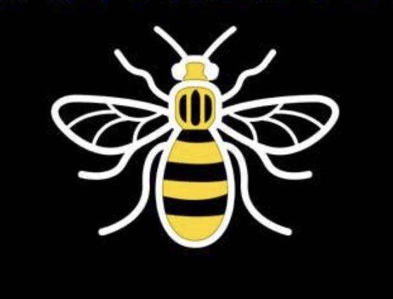 🐝🐝🐝🐝🐝🐝🐝🐝🐝🐝🐝🐝🐝🐝🐝🐝🐝🐝🐝🐝🐝🐝 I❤️MCR