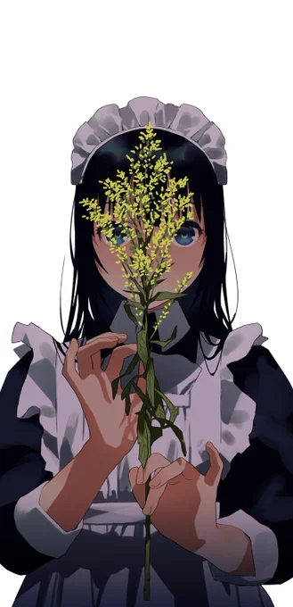 🌼 