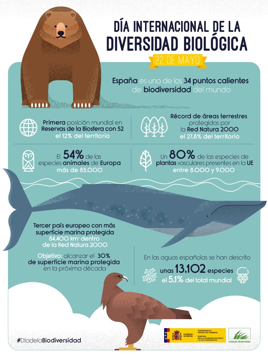 FBiodiversidad's tweet image. Nuestro país es un auténtico referente a nivel mundial en cuanto a riqueza y protección de la #biodiversidad.

Un privilegio pero también una importante responsabilidad 💪

#DíaDeLaBiodiversidad #SemanaDeLaBiodiversidad #DíadelaDiversidadBiológica