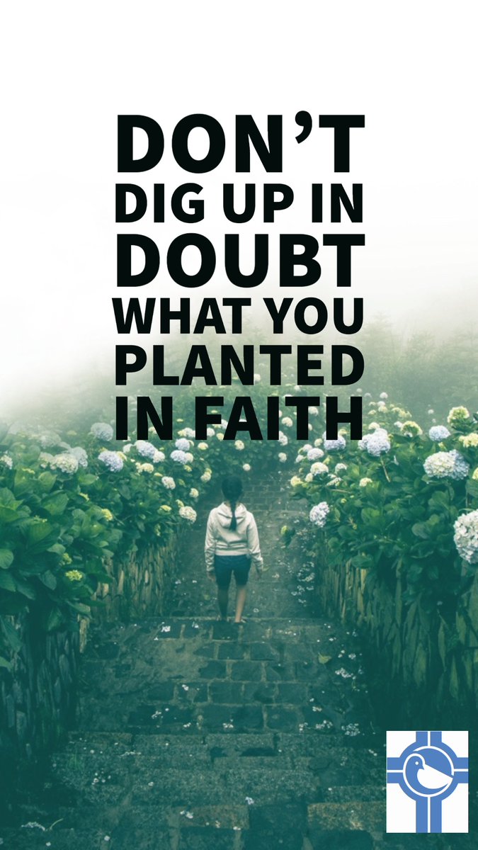CityWidePrayers's tweet photo. Don't Dig Up in Doubt, What You Planted in Faith
#prayfortheworld #prayfortheworldtoheal #prayforth #prayerispowerful #prayerwarrior #PrayerChallengeeworld https://t.co/fborIOm1Lj
