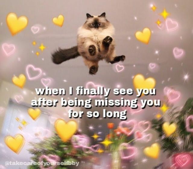 auristelash's tweet photo. @elederick Me right now: https://t.co/v2sd3d70uq