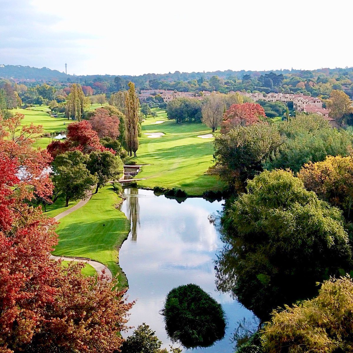 Picture perfect Sunday’s… 🍂