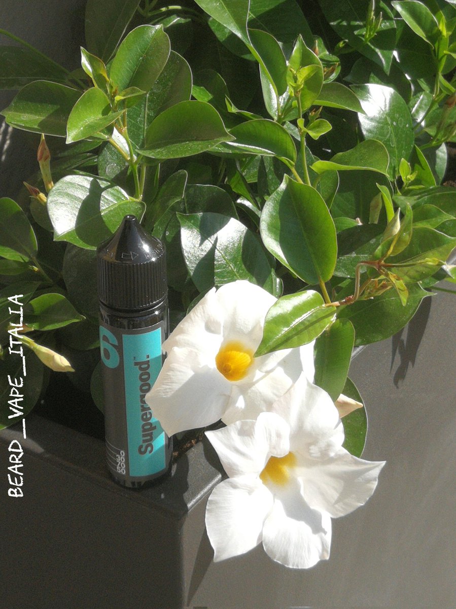 #buonadomenica #goodsunday #ugodnanedjelja #schönensonntag #bondimanche #良い日曜日を
#picoftheday #wearesupergood #numbersix #bvapeitalia #photogram #vapejapan #artoflight #vapephotography #vapephotographer #artisticphotography #photo #promoter #influencer #getonboard