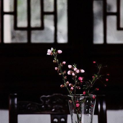 ⠀
⠀⠀
⠀#𝑀𝑂𝑅𝐷𝑋𝑆𝐻𝐴𝑁𝐺𝐻𝐴𝐼
“ ยามอายุสามสิบหกชื่อ กวงจินไถ 
        ใครบ้างฟังแล้วไม่ตื่นตระหนก 
          แม้เด็กเล็กยังต้องเงียบเสียง ”
⠀ 
⠀