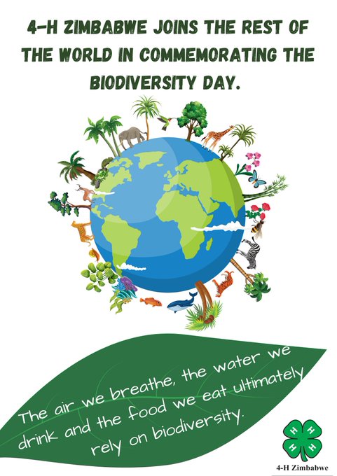 #BioDiversityDay2022