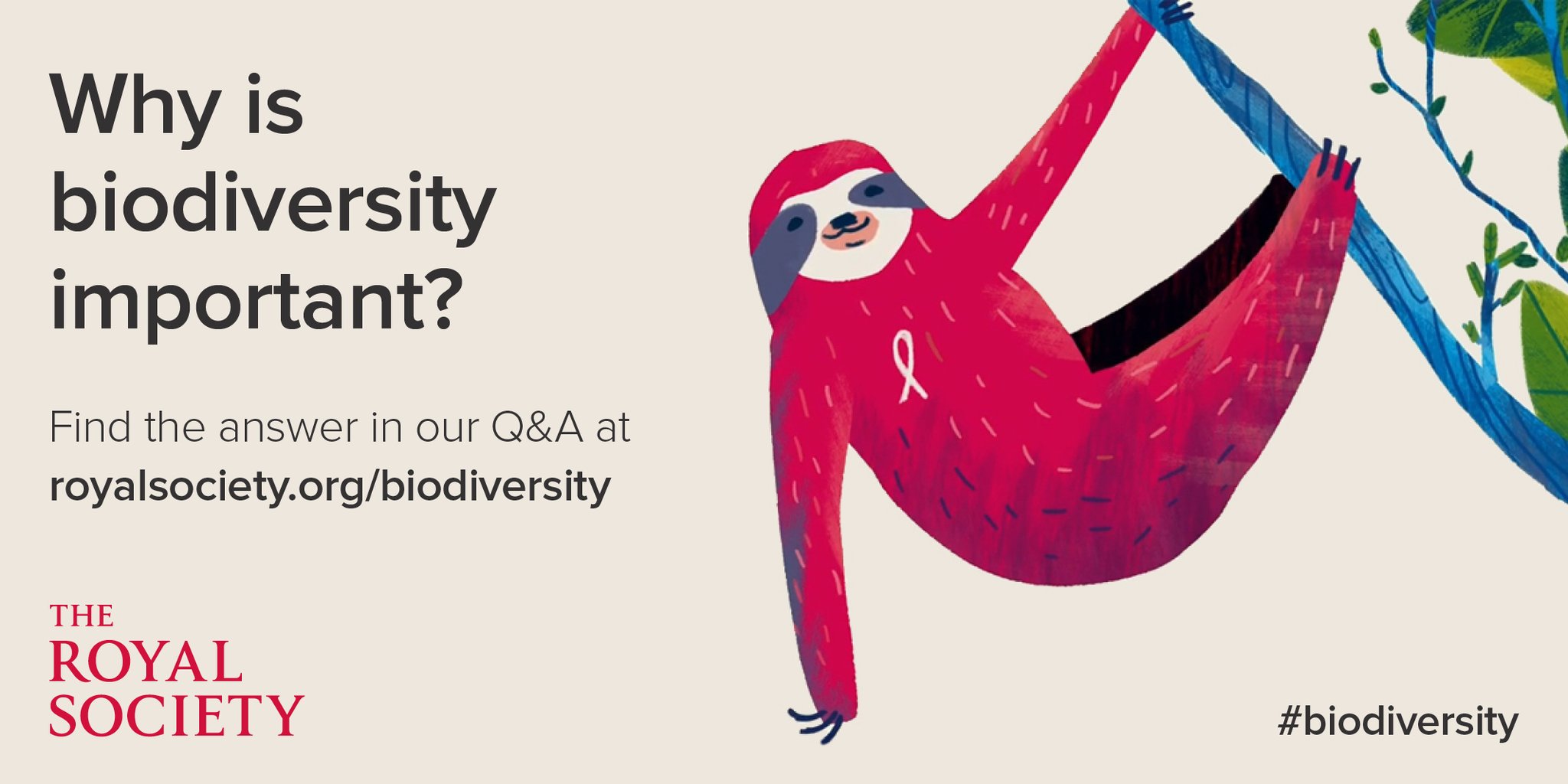 The Royal Society on Twitter "Why is biodiversity important? How do